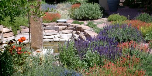 Zeroscaping, Xeriscaping, Landscaping, Plant Installation, Mulch Install, Rock Install, Hardscaping, Outdoor Living, Free Estimates