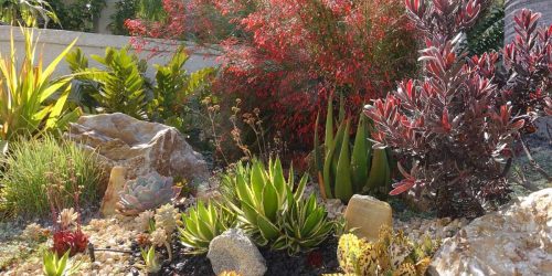 Zeroscaping, Xeriscaping, Landscaping, Plant Installation, Mulch Install, Rock Install, Hardscaping, Outdoor Living, Free Estimates